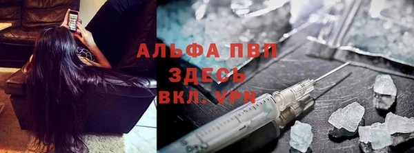 сатива Баксан