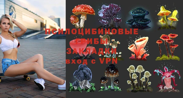 сатива Баксан