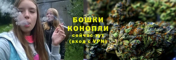 сатива Баксан