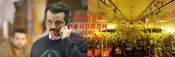 сатива Баксан