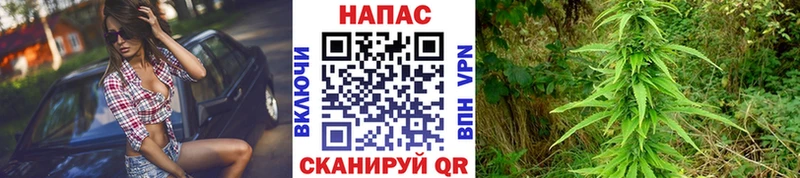 MEGA рабочий сайт  даркнет сайт  Невель  Шишки марихуана VHQ 